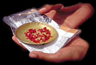 Rubies photo image